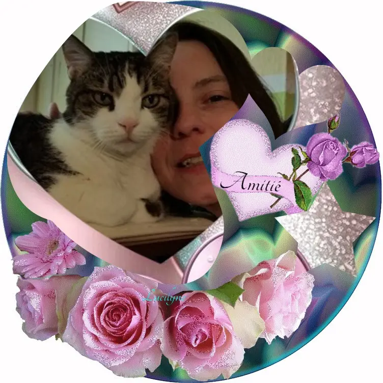 Condolence image of Gute Nacht Mauschen❤️⭐️