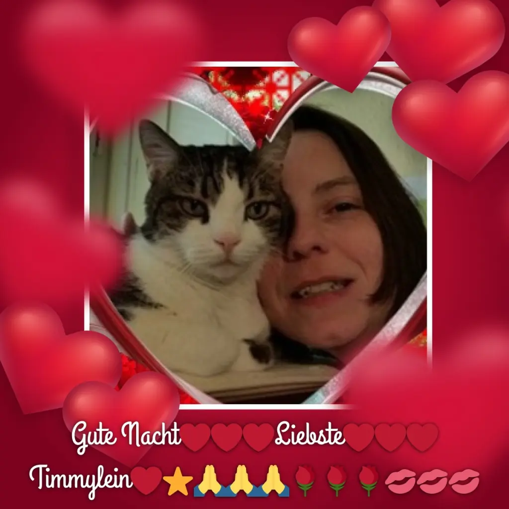 Condolence image of Gute Nacht❤️❤️❤️Mauschen❤️❤️❤️