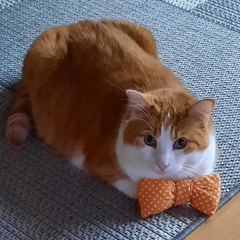 Condolence image of ❤️Eike und Edeltraud ❤️