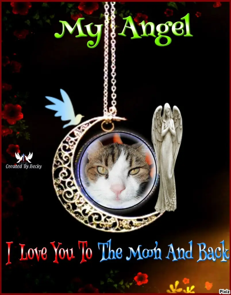 Condolence image of Deine Katzenmutti Tanja ❤