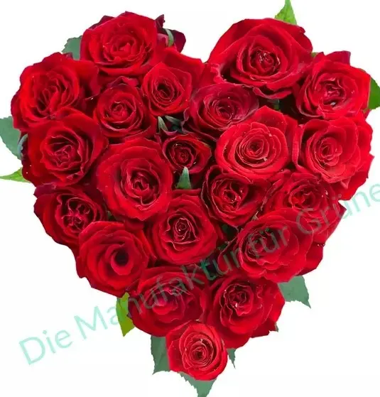 Condolence image of für Timmy ♥♥