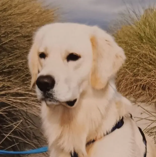 Condolence image of Claudia mit ASKO ❤ 