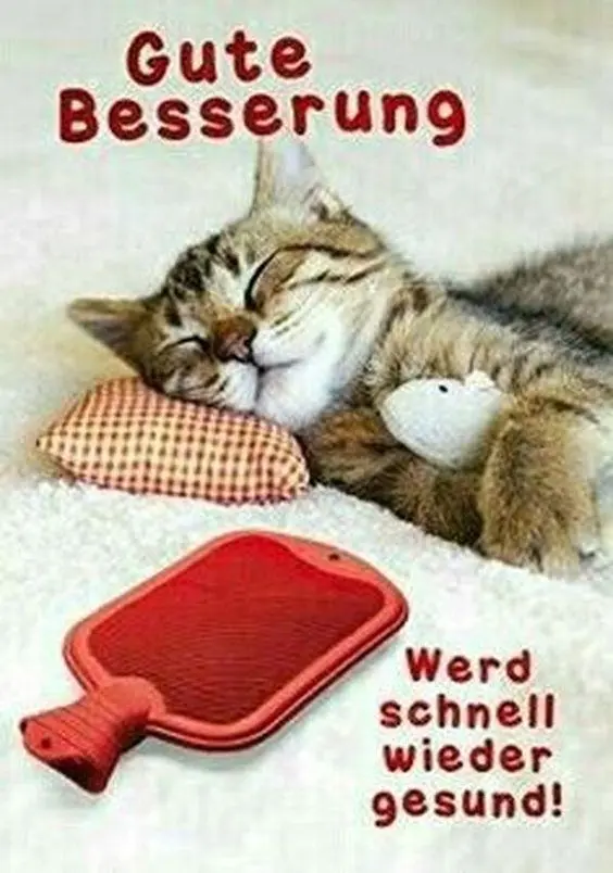 Condolence image of Claudia mit ASKO❤️