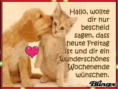 Condolence image of Claudia mit ASKO❤️