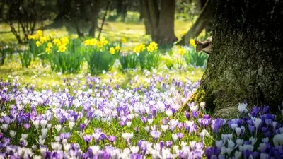 Condolence image of Elisabeth mit Marple, Christie und Arafat im ♥