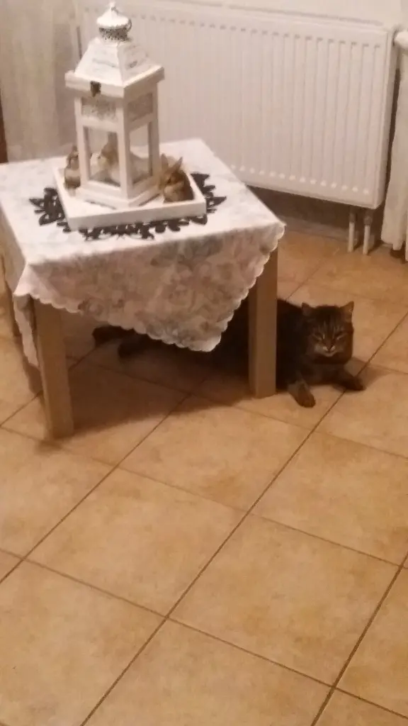 Condolence image of Snoopy❤Pünktchen