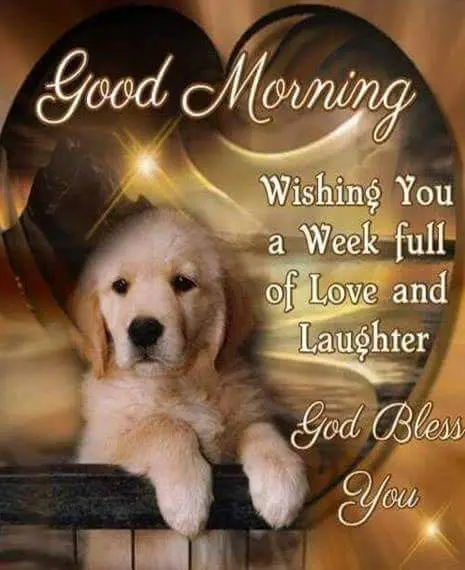 Condolence image of Claudia mit ASKO❤️