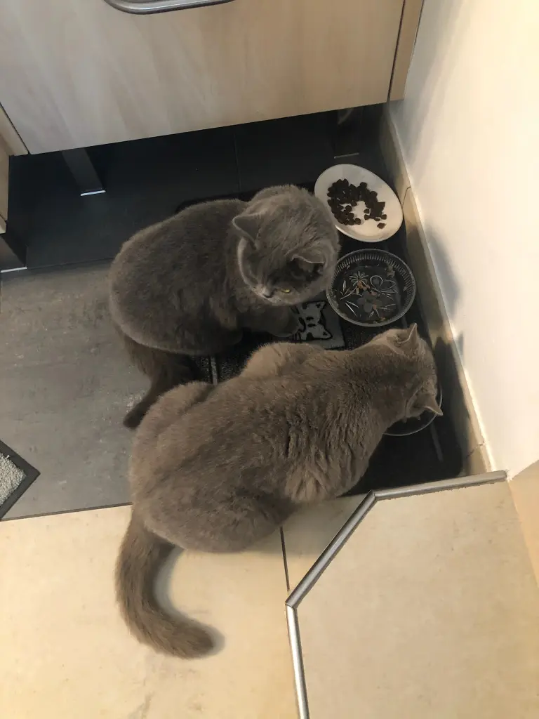 Condolence image of An Timmy und Tanja