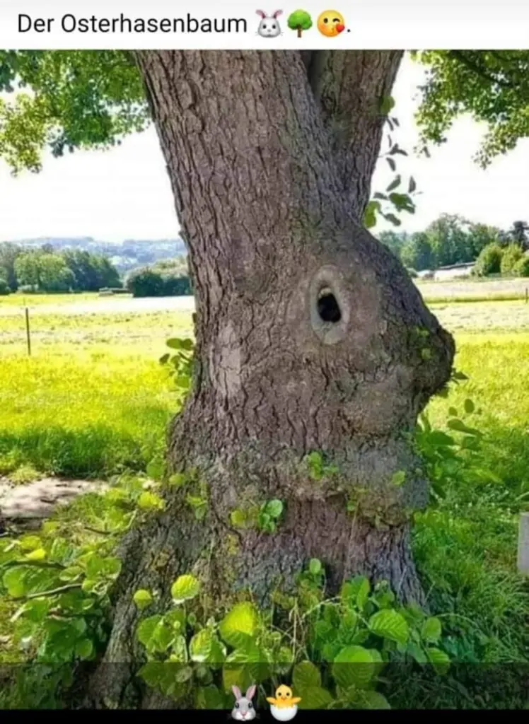 Condolence image of Elisabeth mit Marple, Christie und Arafat im ♥