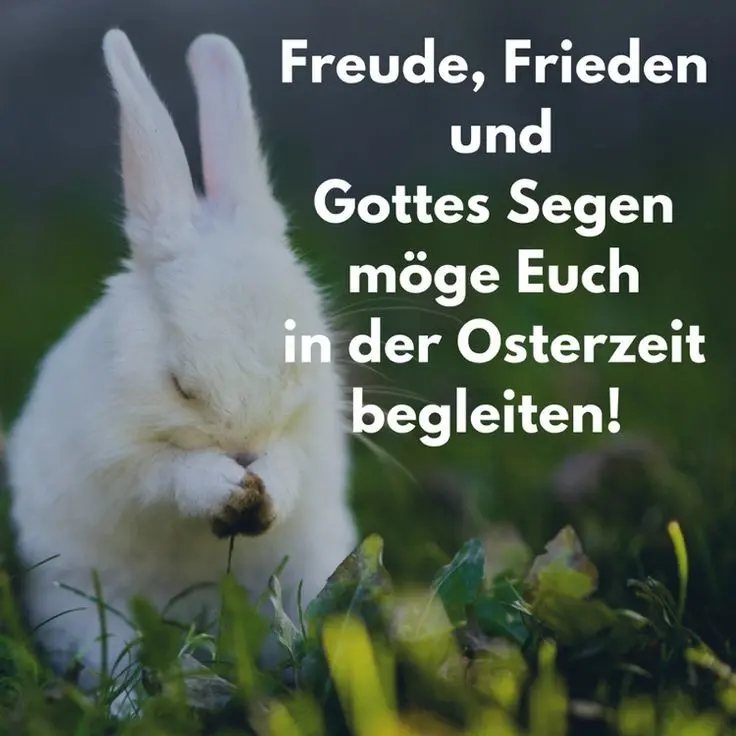 Condolence image of Claudia mit ASKO❤️ 