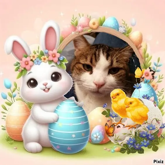 Condolence image of Ostergrüße ❤️