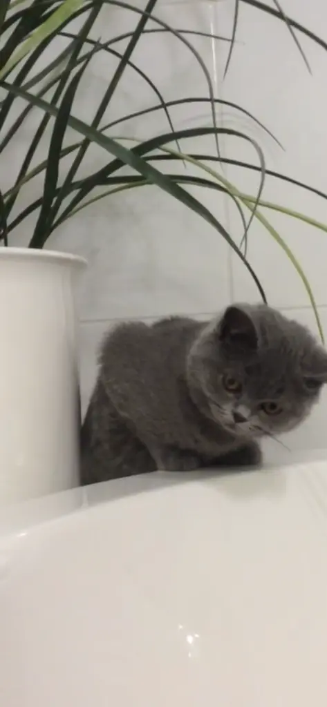 Condolence image of An Timmy und Tanja