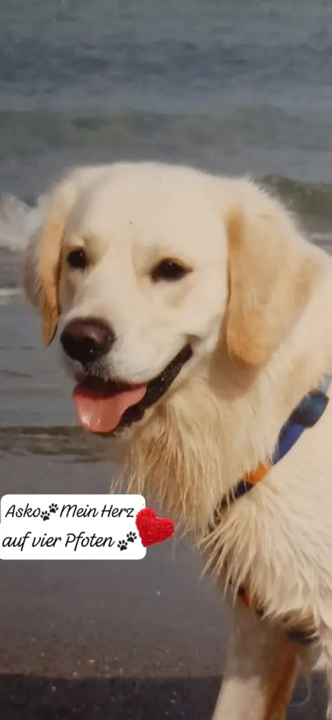 Condolence image of Claudia mit ASKO❤️