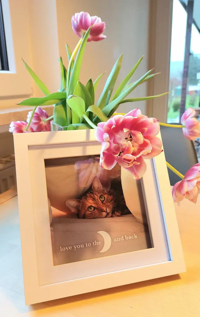 Condolence image of für Tanja und Timmy ❤️