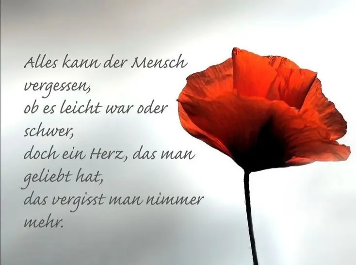 Condolence image of Claudia mit ASKO❤️