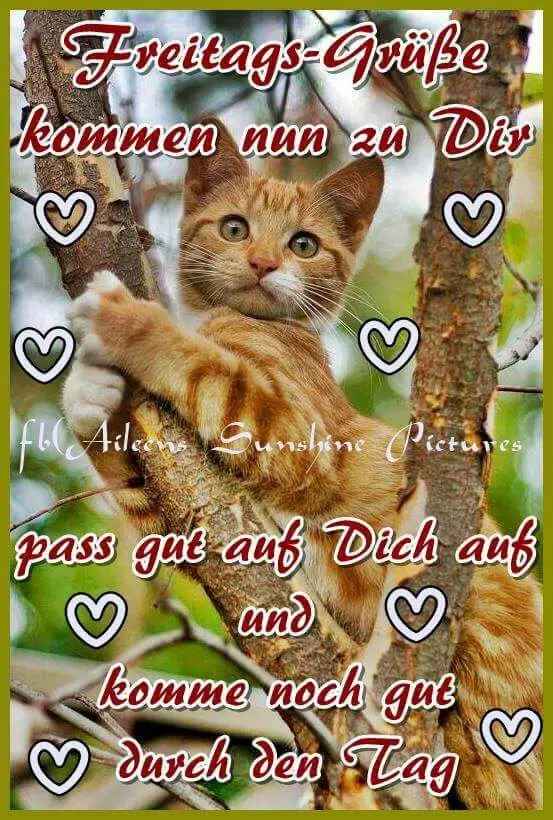 Condolence image of Claudia mit ASKO❤️ 