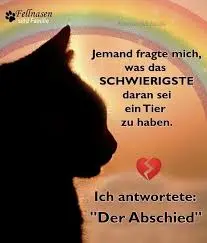 Condolence image of Snoopy❤Pünktchen 