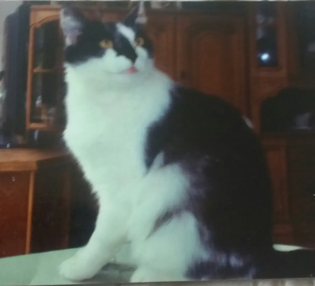 Condolence image of Snoopy❤Pünktchen