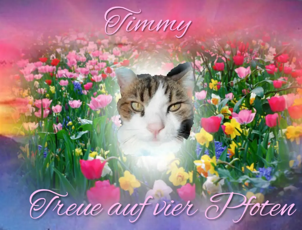 Condolence image of Gaby mit Snowy ❤️