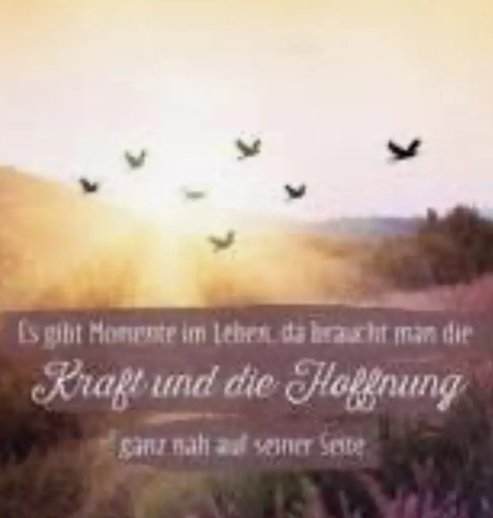 Condolence image of An Timmy und Tanja