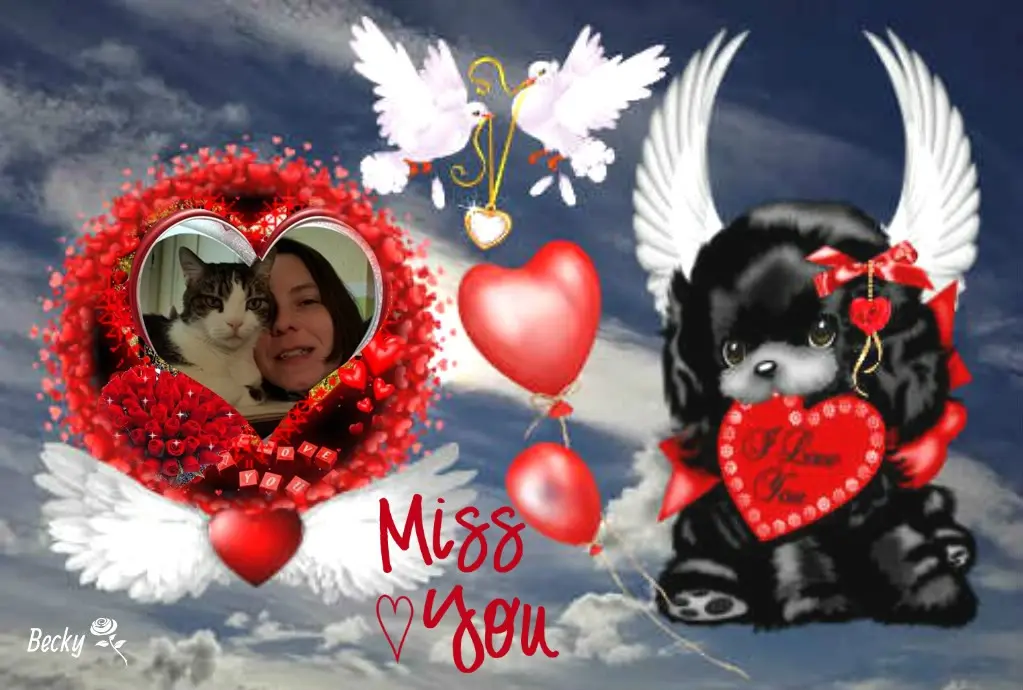 Condolence image of 57 Monate......Ohne Dich❤️⭐️