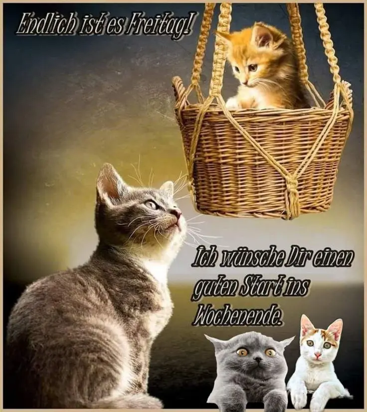 Condolence image of Claudia mit ASKO❤️