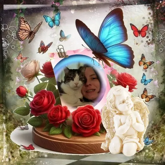 Condolence image of Sonntags❤️Rosenchen❤️❤️❤️❤️❤️❤️