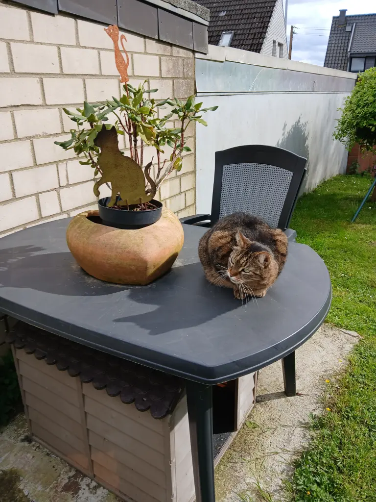 Condolence image of Snoopy und .Pünktchen