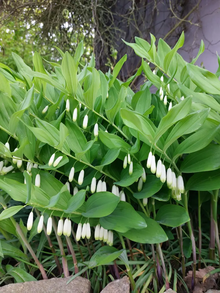 Condolence image of Post für Timmy ❤️ Tanja ❤️ und Hillary ❤️