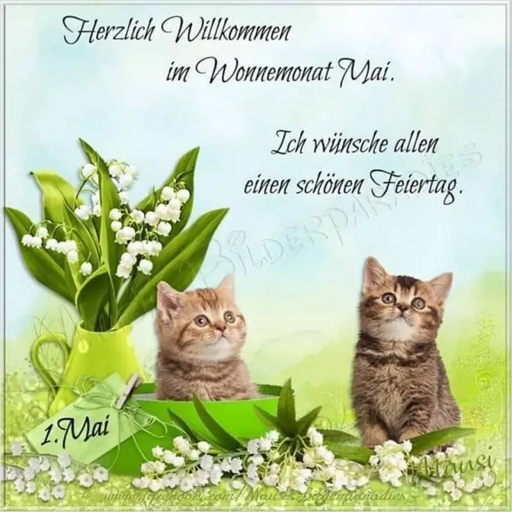 Condolence image of Claudia mit ASKO❤️