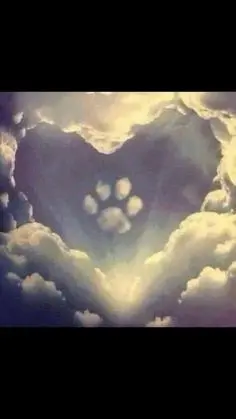 Condolence image of Angelika mit Luna ❤️