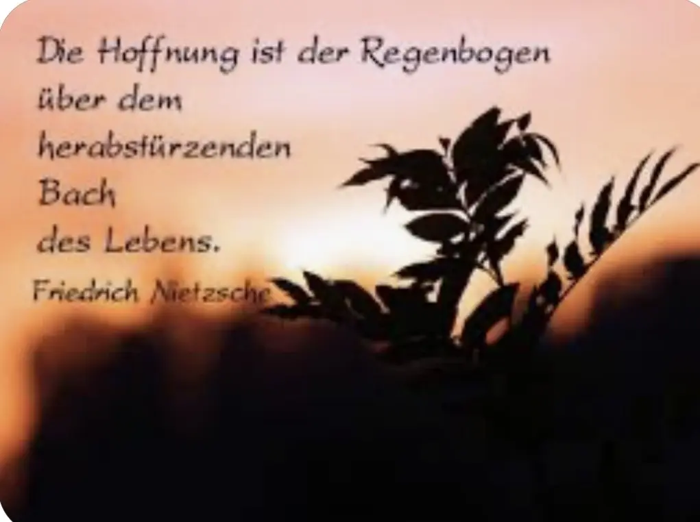 Condolence image of An Timmy und Tanja