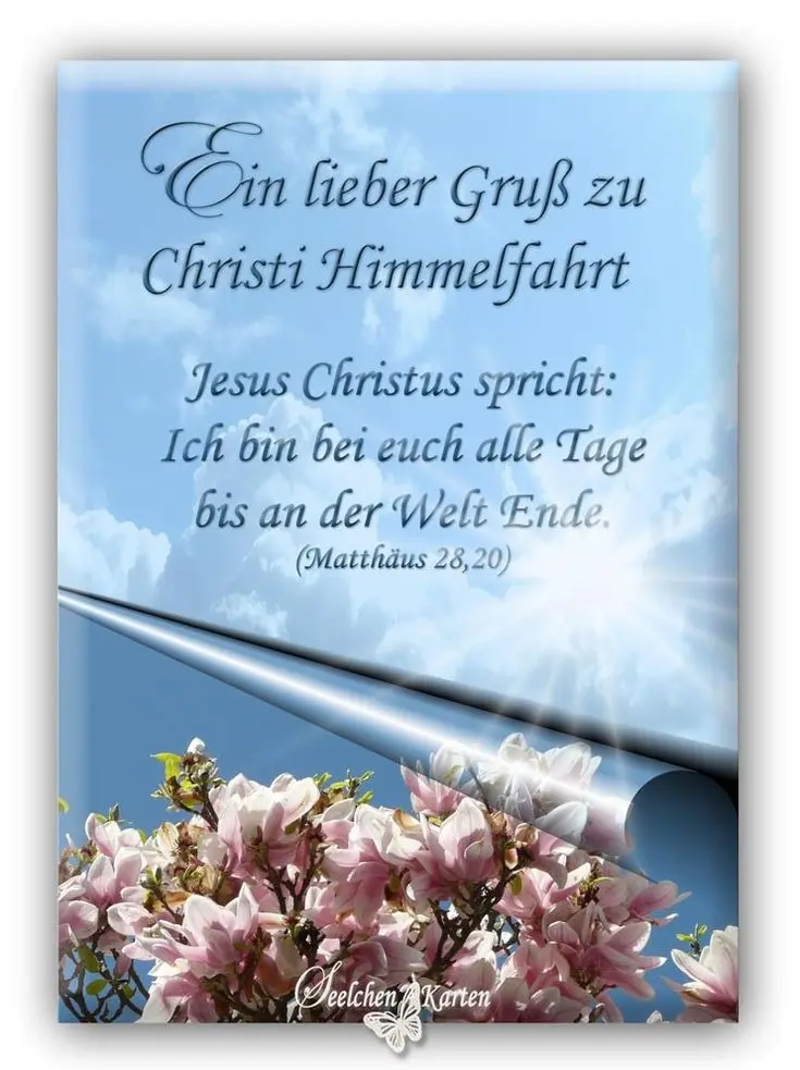 Condolence image of Angelika mit Luna ❤️