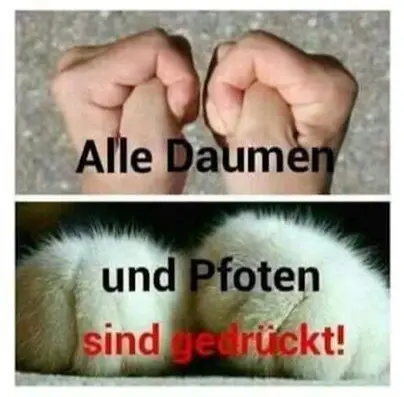 Condolence image of Claudia mit ASKO❤️