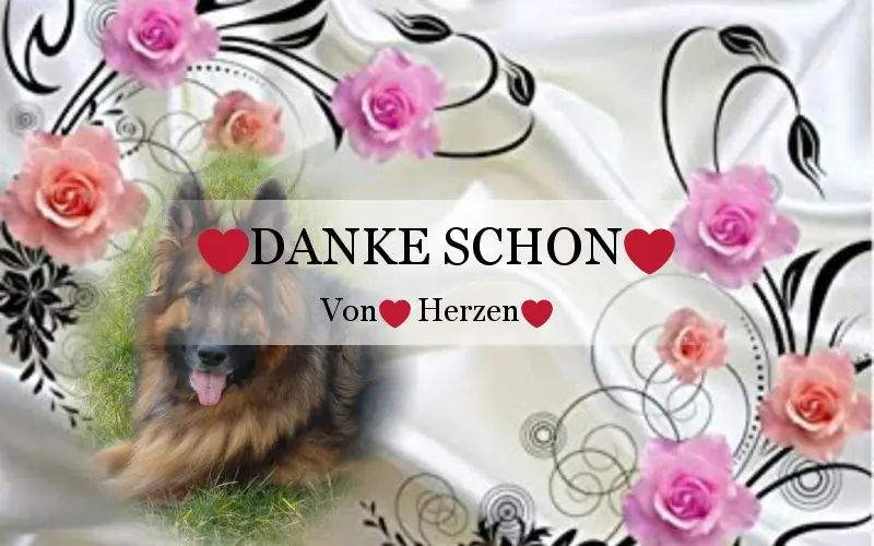 Condolence image of Danke Schon❤️❤️❤️❤️❤️❤️❤️❤️❤️❤️❤️❤️❤️