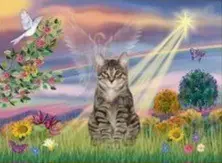 Condolence image of Claudia mit ASKO❤️ 