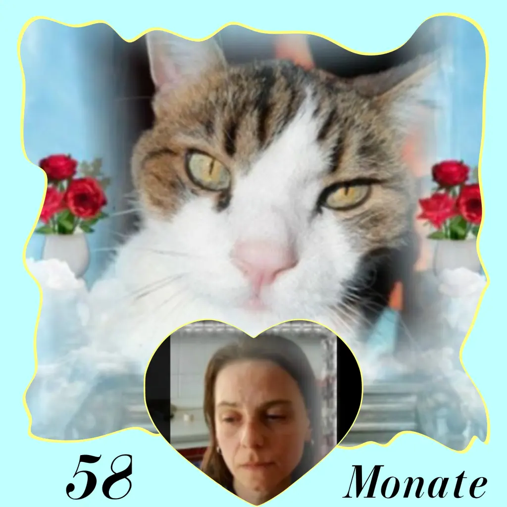 Condolence image of Corinna mit Emma, Jengi, Pummelchen und anderen Sternleine im Herzen