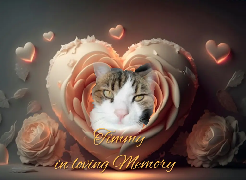 Condolence image of 58 Monate.... Sehnsucht ♥️