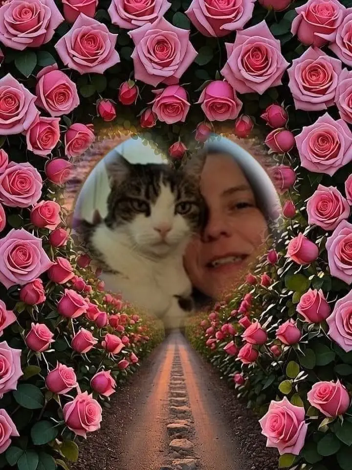 Condolence image of Sonntags❤️Rosen❤️❤️❤️❤️❤️❤️