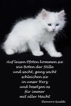 Condolence image of Annemarie und Elke mit Snoopy❤️und Pünktchen ❤️