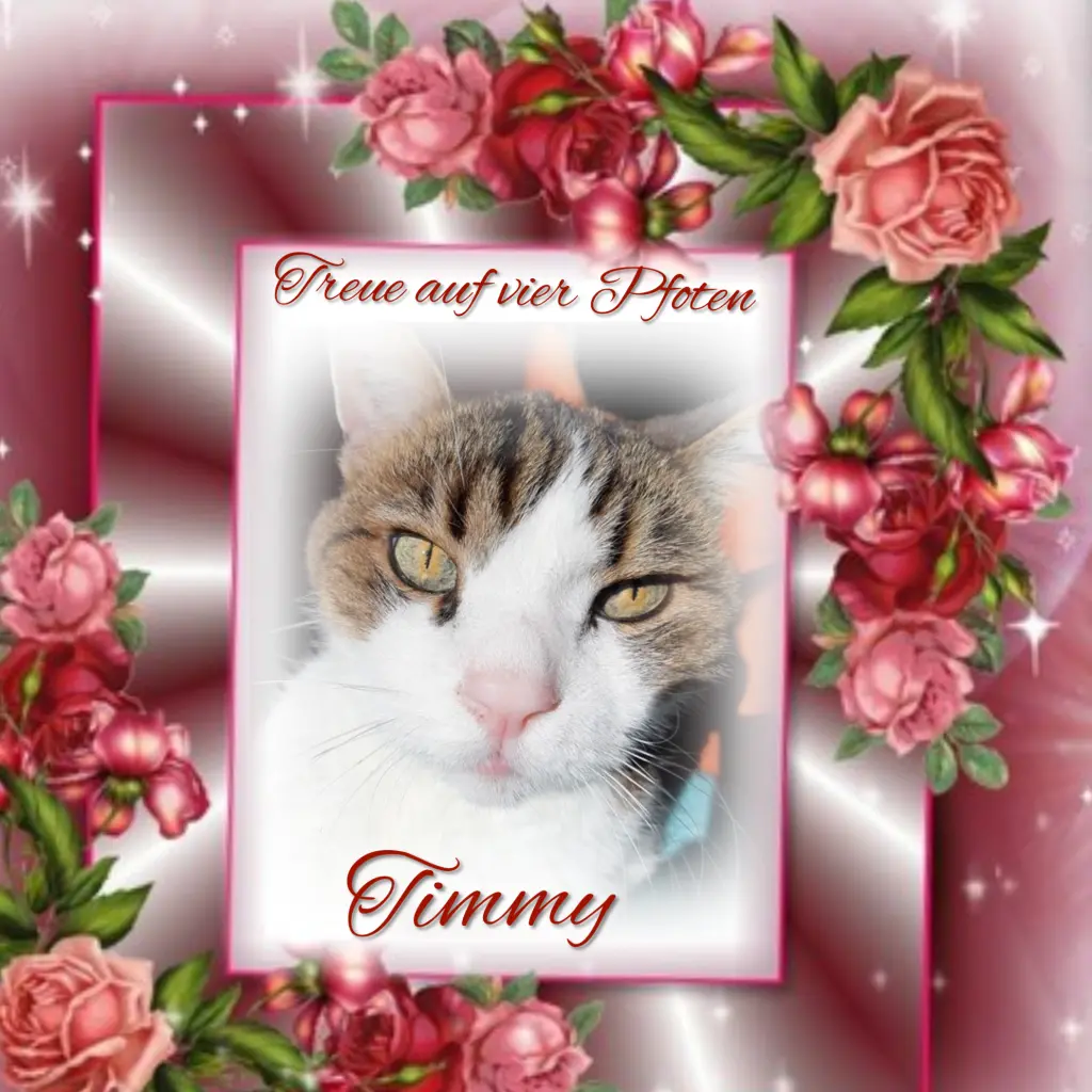 Condolence image of Gaby mit Snowy ❤️