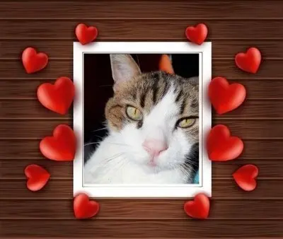 Condolence image of Andrea mit Minki im ♥️