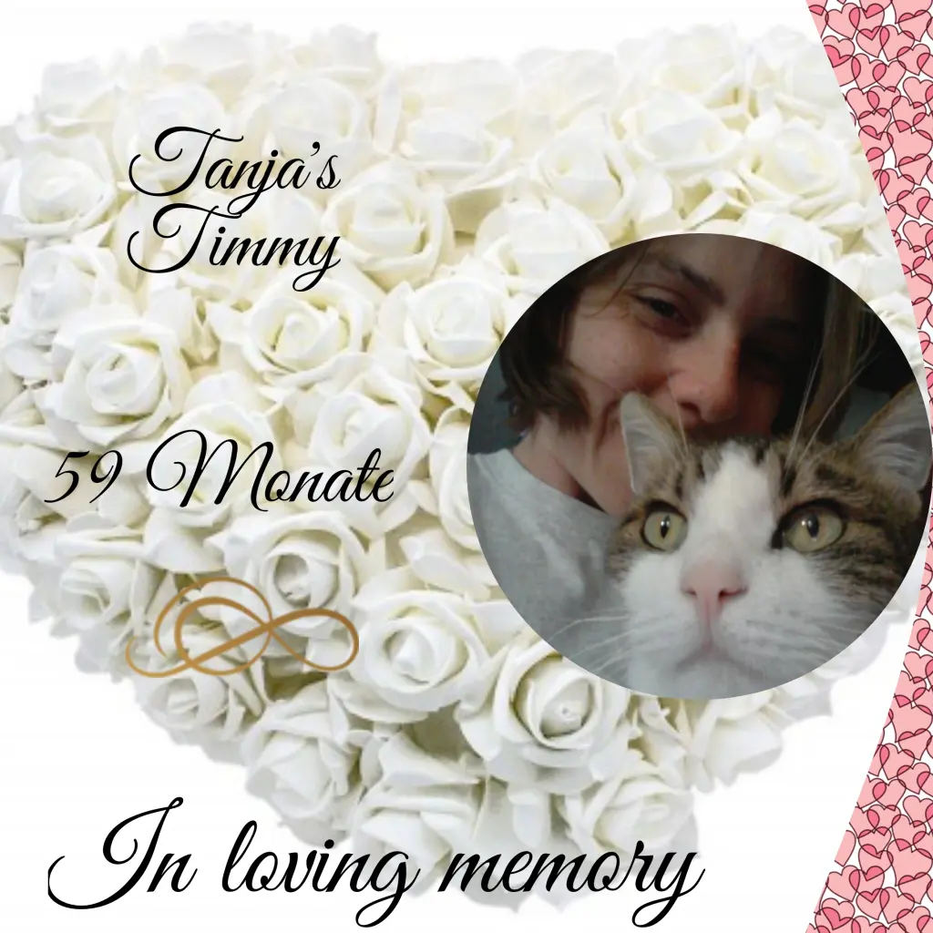 Condolence image of Corinna mit Emma, Jengi, Pummelchen und anderen Sternleine im Herzen