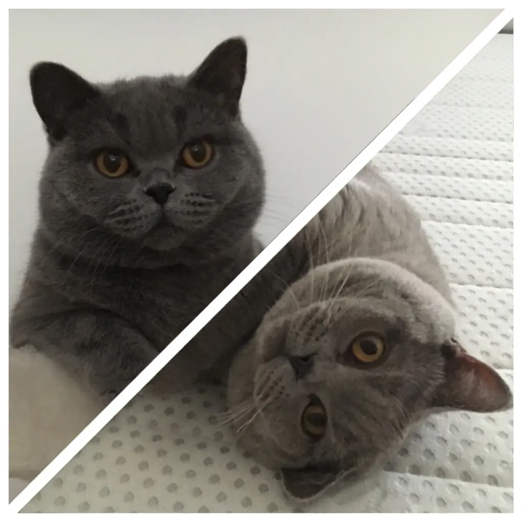 Condolence image of An Timmy und Tanja