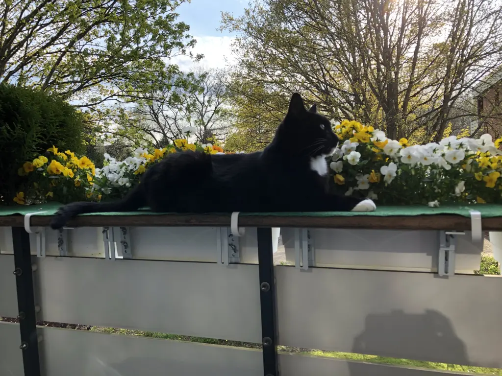 Condolence image of Heide mit Cita im Herzen ❤️