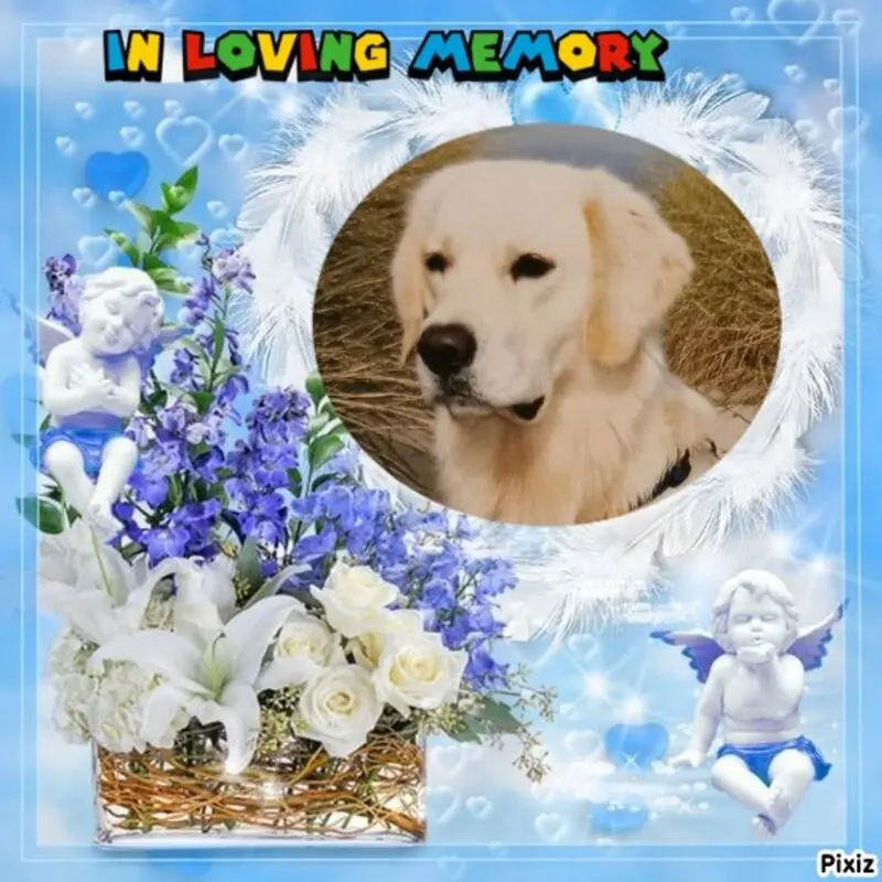 Condolence image of Claudia mit ASKO❤️