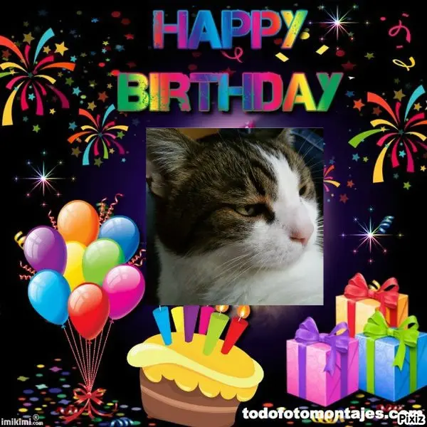 Condolence image of Deine Katzenmutti Tanja ❤