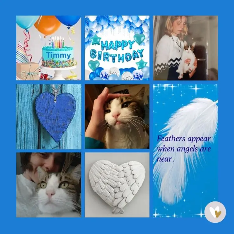 Condolence image of 23 Rosensträuße für Timmy