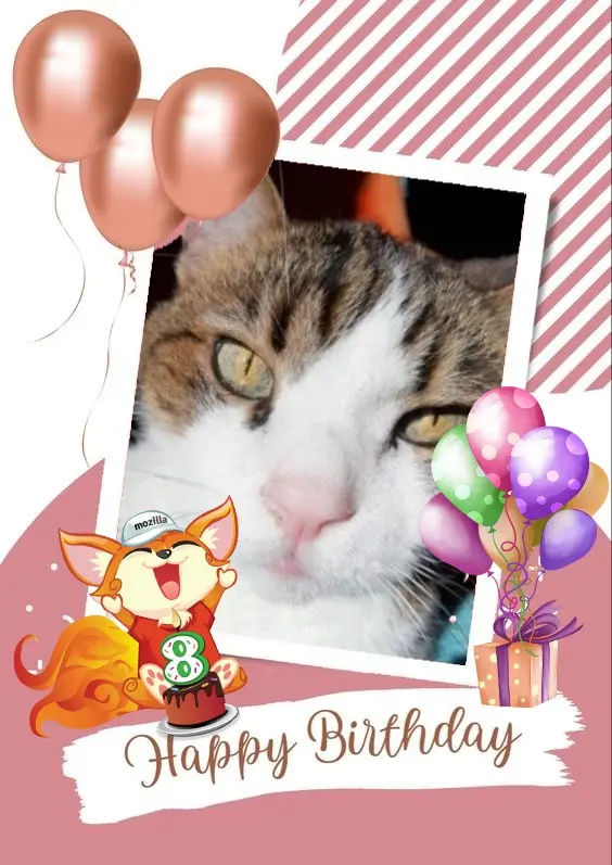 Condolence image of Andrea mit Minki im ♥️