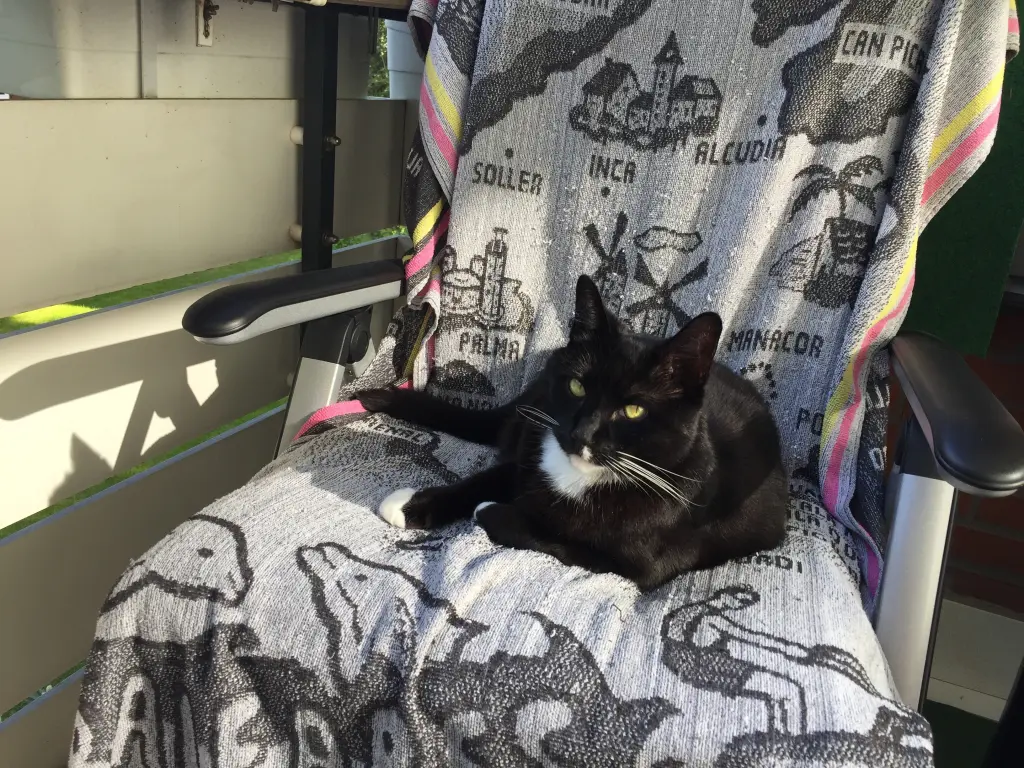 Condolence image of Cita❤️